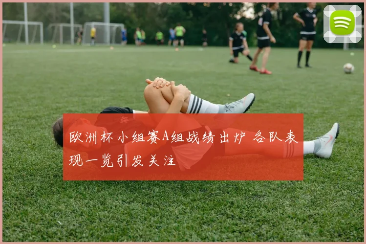 欧洲杯小组赛A组战绩出炉 各队表现一览引发关注